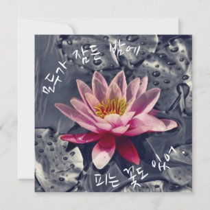 "Some flowers bloom at night when..." in Korean Card
