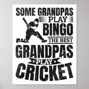 Some Grandpas Play Bingo The Best Grandpas Play Cr Poster