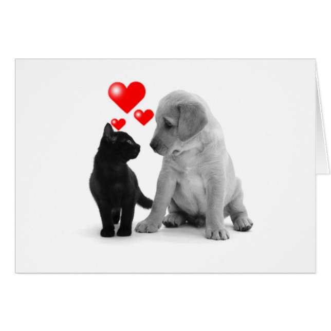 SOME SEE STARS-I SEE HEARTS BECAUSE OF "YOU" (Front Horizontal)