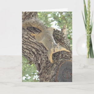 Some Time You Feel Like A Nut. Belated Birthday Card