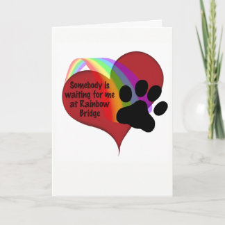 Somebody is Waiting for Me at Rainbow Bridge Cat Card