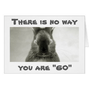 SOMEBUNNY IS WRONG..YOU CANNOT BE *****60******