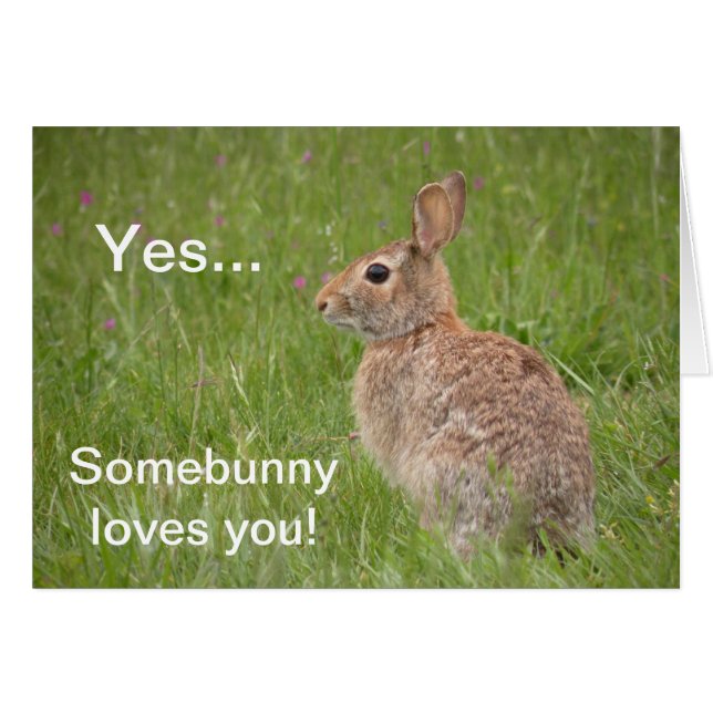 Somebunny loves you! (Front Horizontal)