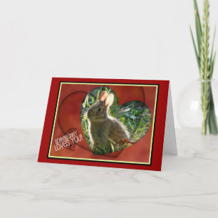 Somebunny Loves You! Bunny Photograph Holiday Card
