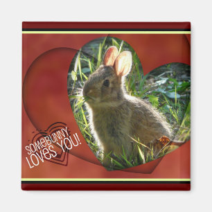 Somebunny Loves You! Bunny Photograph Magnet