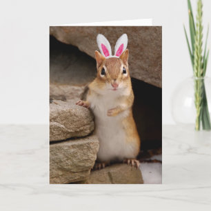 Somebunny Loves You Chipmunk Holiday Card