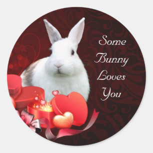 Somebunny loves you classic round sticker