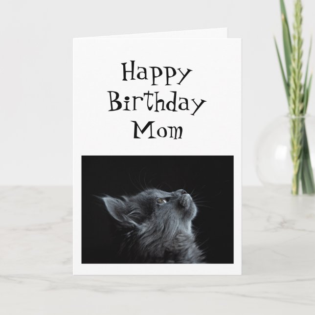 Someone I look up to Mum Birthday Animal Humour Card (Front)