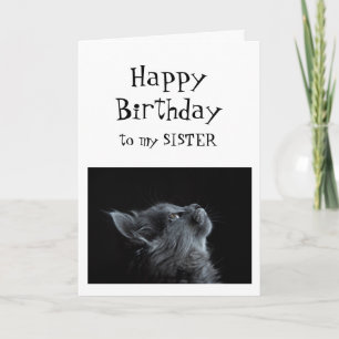 Someone I look up to Sister Birthday Animal Humour Card