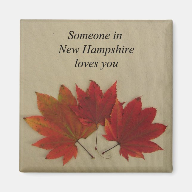 Someone In New Hampshire Loves You-Magnet Magnet (Front)