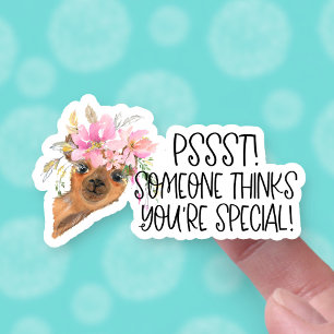 Someone Thinks You're Special Gift Mail Cute Llama