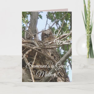 Someone's the Best Mother   Baby Owl in Tree Photo Card