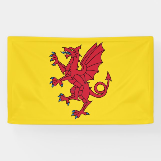 Somerset Flag England dragon symbol Banner (Horizontal)