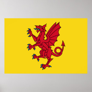 Somerset Flag England dragon symbol Poster