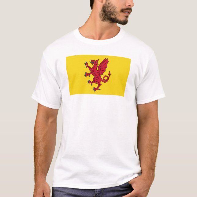 Somerset Flag England dragon symbol T-Shirt (Front)