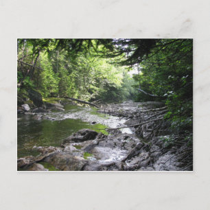 Somerset, Vt. Postcard