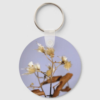 something key ring