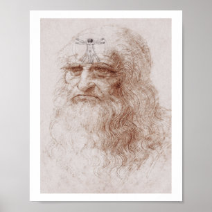 Something on my mind, Leonardo da Vinci's portrait Poster