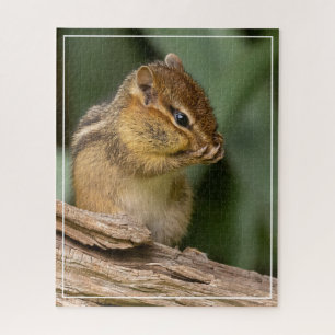 Something Smells Chipmunk Jigsaw Puzzle