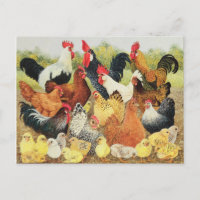 Something to Crow About