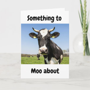 SOMETHING TO *MOO ABOUT* 1st ANNIVERSARY Card
