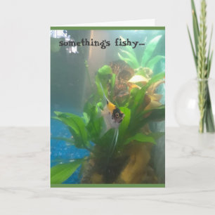 Something's Fishy Angel Fish Greeting Card