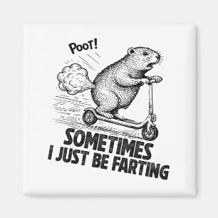 Sometime I Just Be Farting Tummy Hurts Funny Groun Magnet