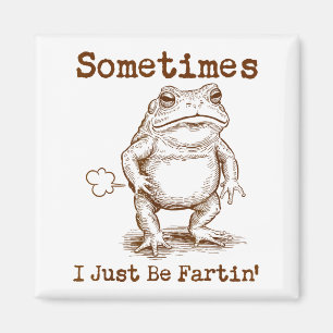 Sometimes I Just Be Fartin’ Frog Funny Rude Silly  Magnet
