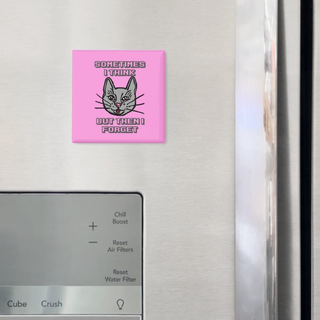 Sometimes I Think But Then I Forget Cat Meme Joke Magnet (In Situ (Fridge))
