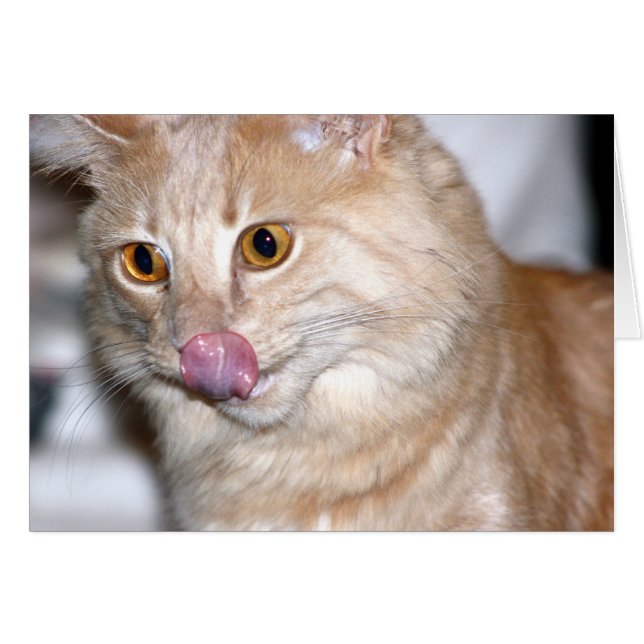 Sometimes I try to be Normal (Front Horizontal)