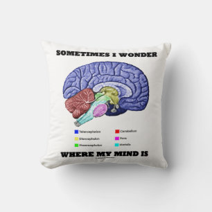 Sometimes I Wonder Where My Mind Is Brain Humour Cushion