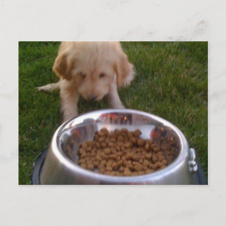 Sometimes its hard to fulfil your expectations postcard