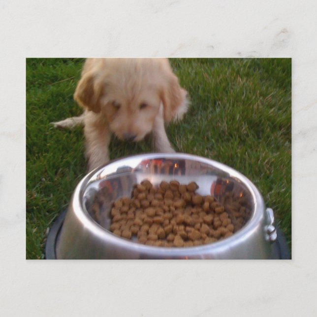 Sometimes its hard to fulfil your expectations postcard (Front)