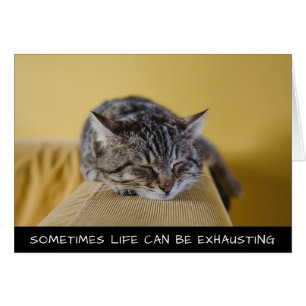Sometimes Life Can Be Exhausting Cute Cat