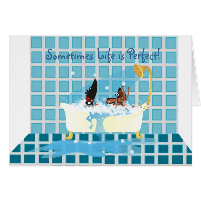 Sometimes Life is Perfect! (Front Horizontal)