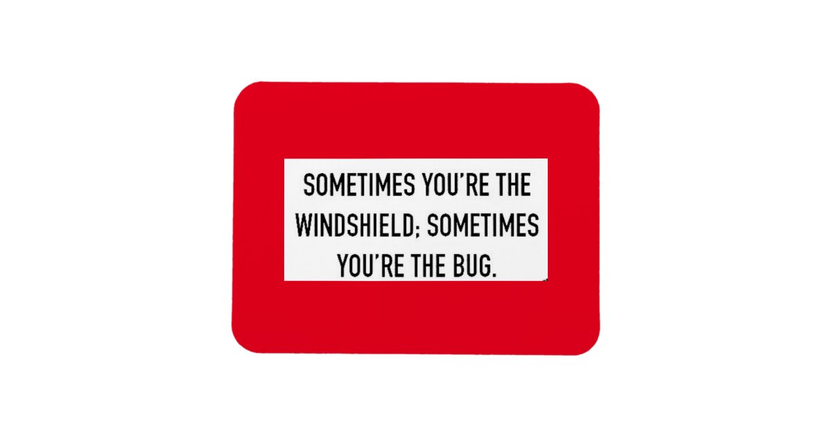 Sometimes Your The Windshield