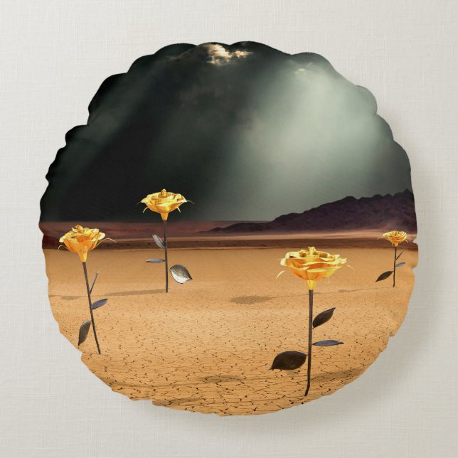 Somewhere No. 3 Round Cushion (Front)