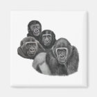 Son Gorilla Magnet By AGE. Gorilla Life