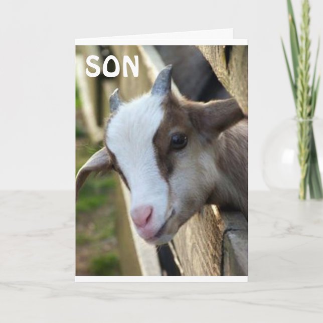 **SON OF THE YEAR** AND  HAPPY BIRTHDAY CARD (Front)