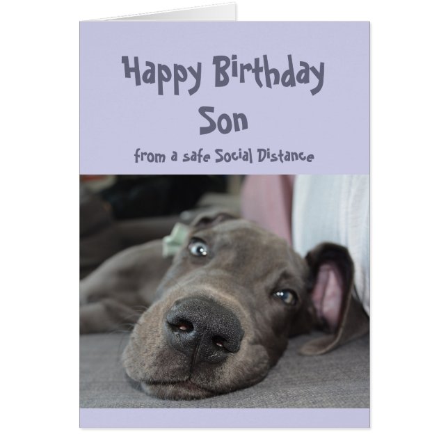 Son Social Distancing Birthday Great Dane Dog (Front)