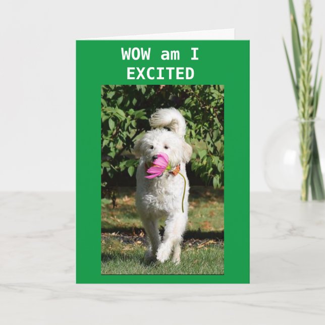 SON TURNS 16 GOT TO HURRY UP TO SAY HAPPY BIRTHDAY CARD (Front)