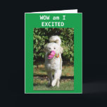 SON TURNS 21 GOT TO HURRY UP TO SAY HAPPY BIRTHDAY CARD<br><div class="desc">FLOWER IS ALWAYS NICE BUT FROM MOLY IT IS EVEN NICER. CUTE CARD FOR YOU "SON" ON HIS 16th BIRTHDAY FOR SURE!!! THANK YOU FOR STOPPING BY ONE OF MY EIGHT STORES! CHANGE THE AGE IF YOU WISH IN SECONDS :)</div>