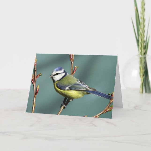 Song Bird Card (Front)