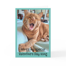 Song by Ginger Cat for Special Valentine
