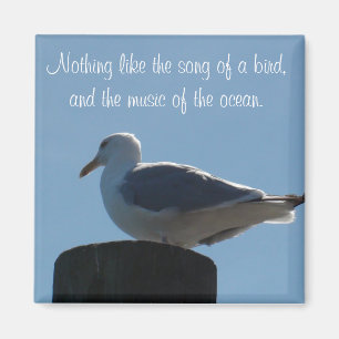 Song of a Bird, Music of the Ocean Seagull Magnet