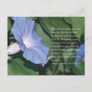 Song of Solomon 2:10-12 Scripture Postcard
