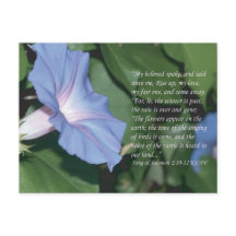 Song of Solomon 2:10-12 Scripture Postcard