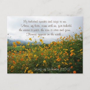 Song of Solomon 2:10 Arise my love, come with Me Postcard