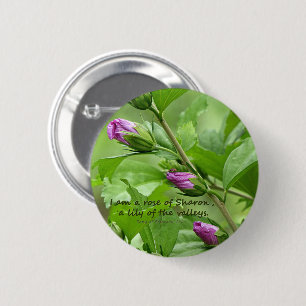 Song of Solomon 2:1 6 Cm Round Badge