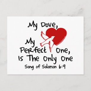 Song of Solomon 6:9 Postcard